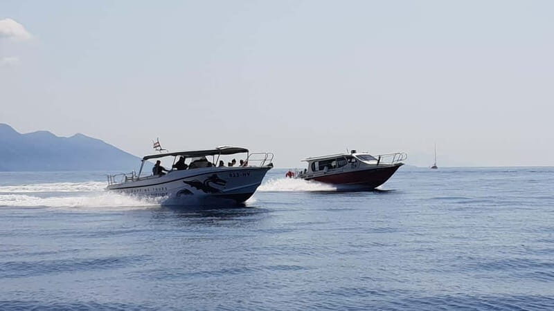 From Hvar: Unforgetable Tour to the Island Vis and Blue Cave - Who Will Love This Tour