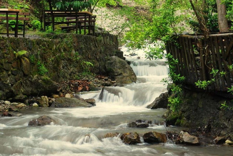 From Istanbul: Private Day Trip to Sapanca Lake and Maukiye - Detailed Breakdown of the Itinerary