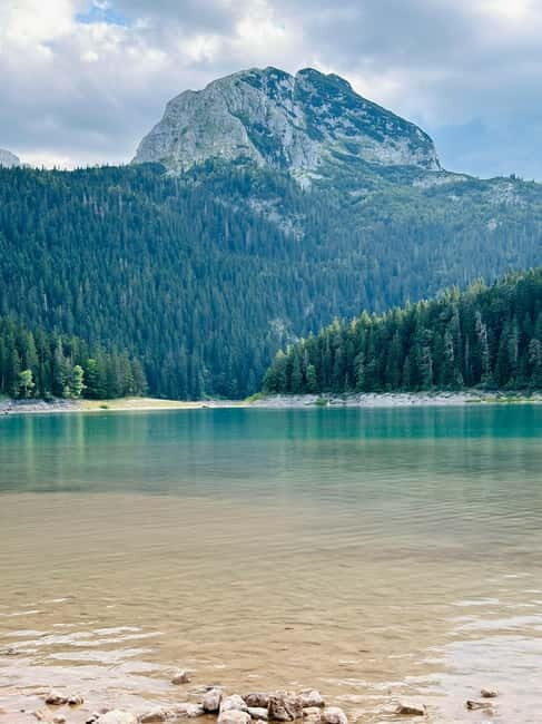 From Kotor: Durmitor National Park and Tara Bridge Day Trip - An In-Depth Look at the Experience