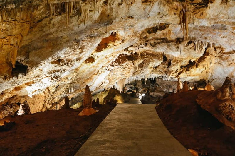 From Kotor:Private Excursion Wild Beauty of the Lipa Cave - Practical Tips for Your Adventure