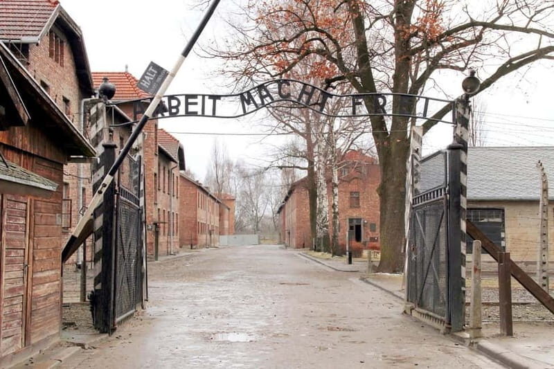 From Krakow: Auschwitz-Birkenau Memorial and Museum Tour - Deep Dive into the Experience