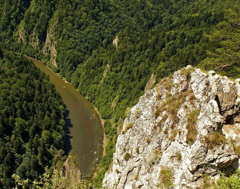 From Krakow: Rafting on Dunajec River Full-Day Trip - The Sum Up