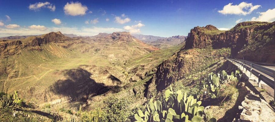 From Las Palmas: Fataga, Finca de Aloe Vera and Mercado Puerto de Mogán - Practical Details and What to Expect