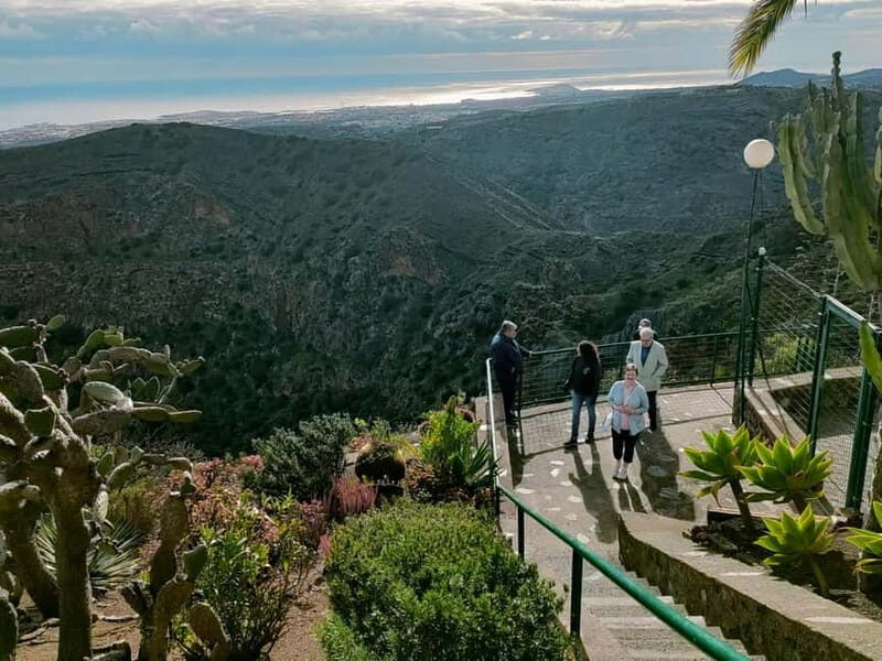 From Las Palmas: Half day tour Volcano Bandama & Vineyard - Admiring Bandama Volcano  
