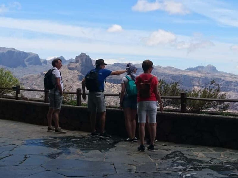 From Las Palmas High Mountains Tejeda & Artenara - The Value and Experience