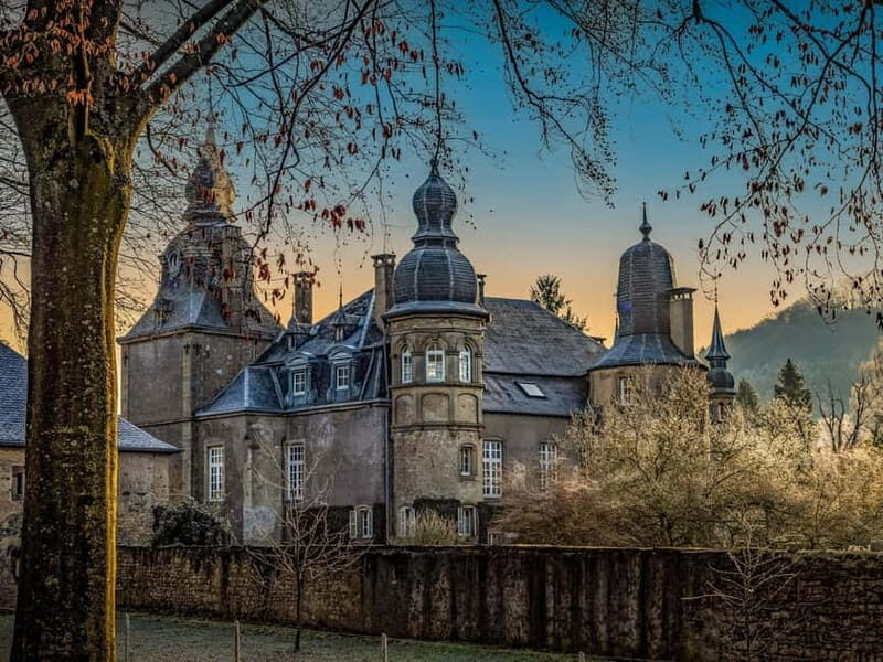 From Luxembourg City: Castles of Luxembourg Day Tour - The Transport and Guide Experience