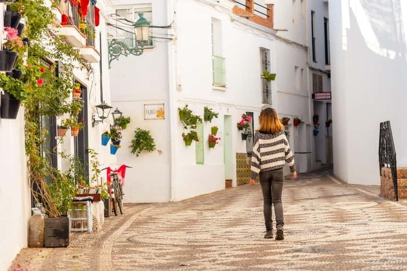From Malaga and Costa del Sol: Mijas Excursion and Costa del Sol Cruise-Ship Cruise - What Makes This Tour Stand Out?