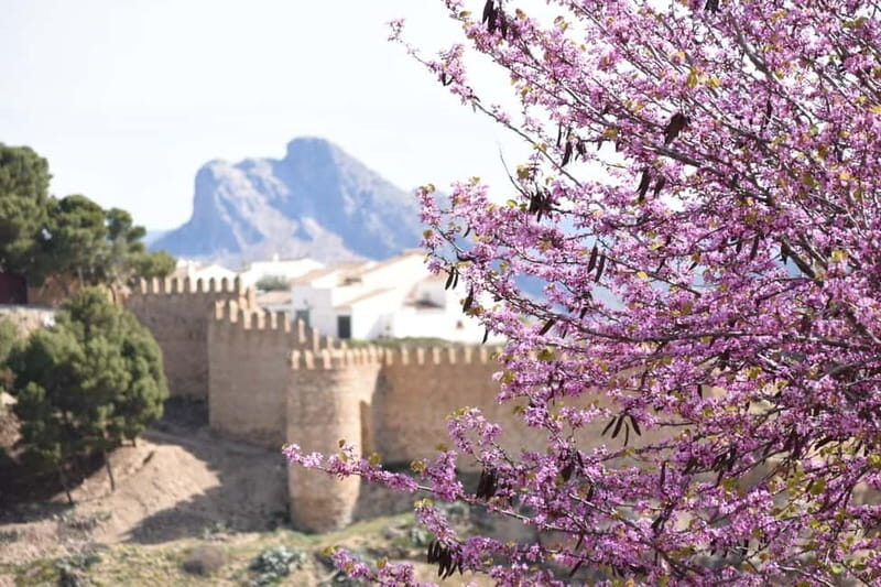 From Malaga: Antequera Heritage and Oil Mill land - Analyzing the Value