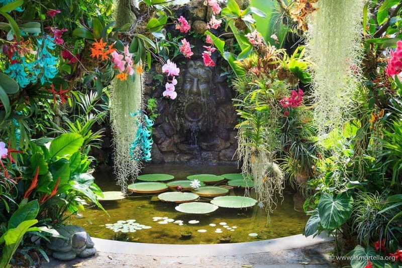 From Naples: Ischia and La Mortella Gardens Day Trip - Final Thoughts