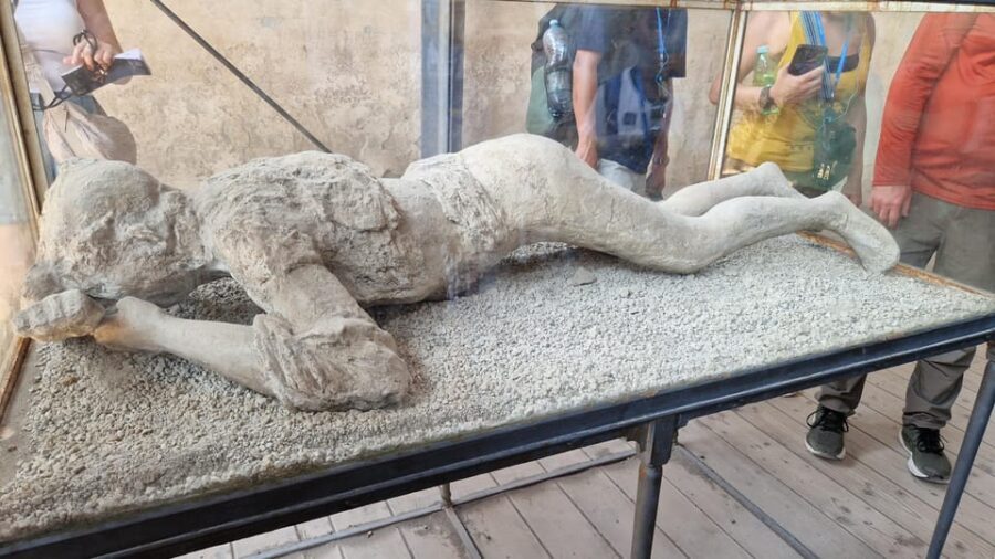 From Naples: Pompeii and Sorrento Day Trip with Lunch Option - Who Should Book This Tour?