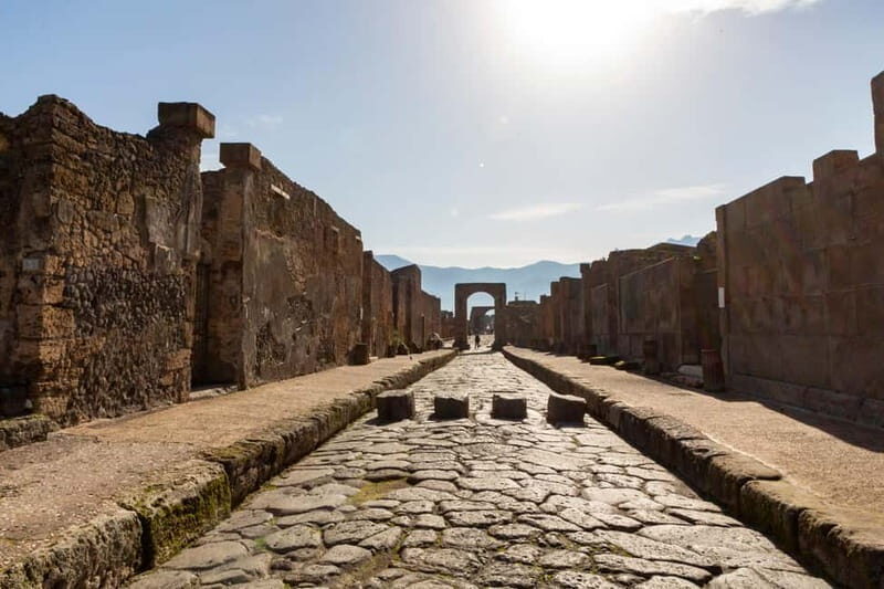 From Naples: Pompeii Private Tour with Transfer and Guide - Value and Pricing