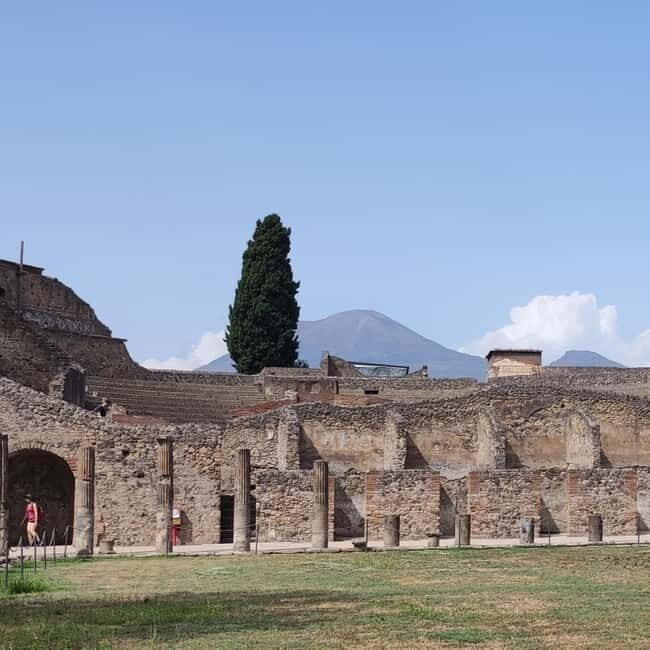 From Naples: Skip-the-Line Entrance Ticket and Guided Pompeii Tour - What to Expect on This Pompeii Tour