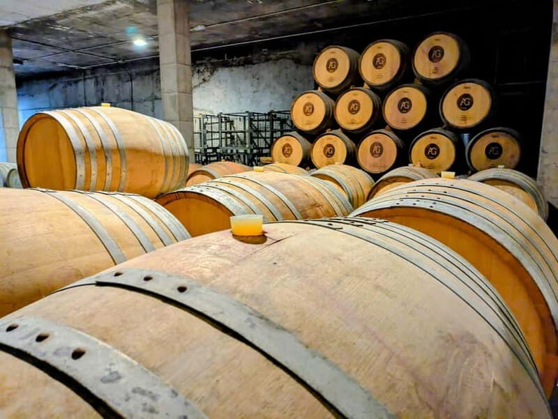 From Palma de Mallorca: Private Wine and Local Flavors Tour - Final Thoughts