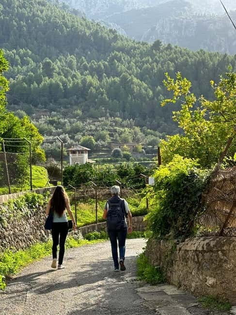 From Palma: Sierra de Tramuntana Hiking with small Picnic - In-Depth Look at the Guided Mountain Adventure