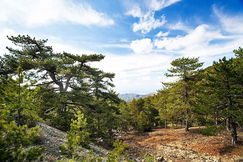 From Paphos: Caledonia Waterfalls Walking Tour with Lunch - In The Sum Up: Is This Tour Worth It?
