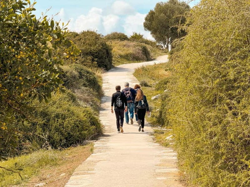 From Paphos: Trip to Limassol with Kourion & Kolossi Castle - Practical Details and What to Expect