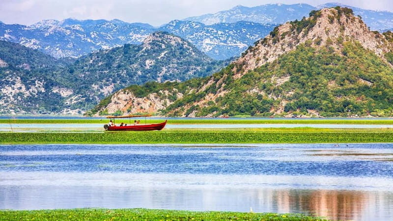 From Petrovac or Budva: Skadar Lake Cruise with Lunch - How the Tour Balances Cost and Experience