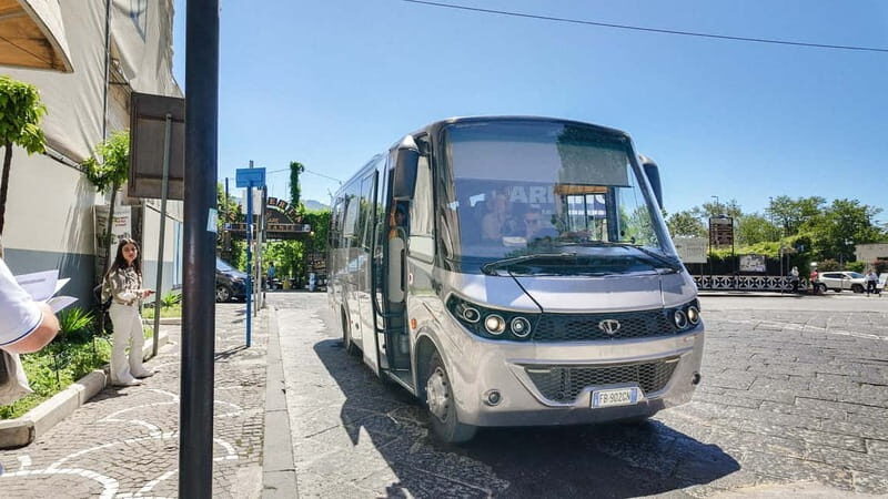 From Pompeii: Mount Vesuvius with bus, ticket and audioguide - Authentic Insights & Traveler Tips