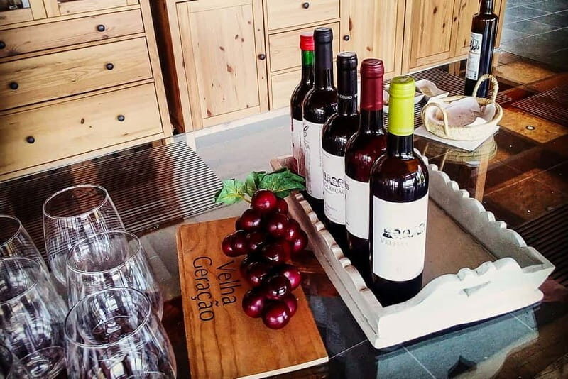 From Porto: Douro Valley with Wineries, Lunch and Boat Trip - Transportation and Timing