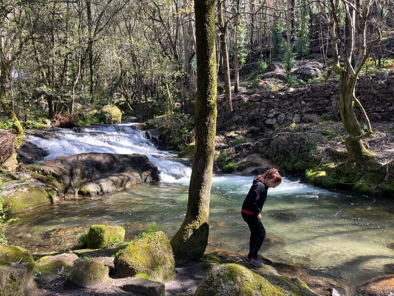 From Porto: Forest Waterfalls & Roman Ruins Trail Tour - Authentic Experiences and Real Traveler Feedback
