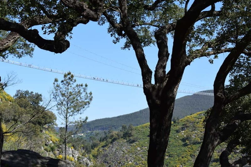 From Porto: Guided Tour of the 516 Arouca Suspension Bridge and Paiva Walkways - A Detailed Breakdown of the Itinerary