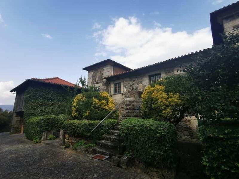 From Porto: Nature and Wine tasting Full-Day Tour - What to Expect and Practical Tips  