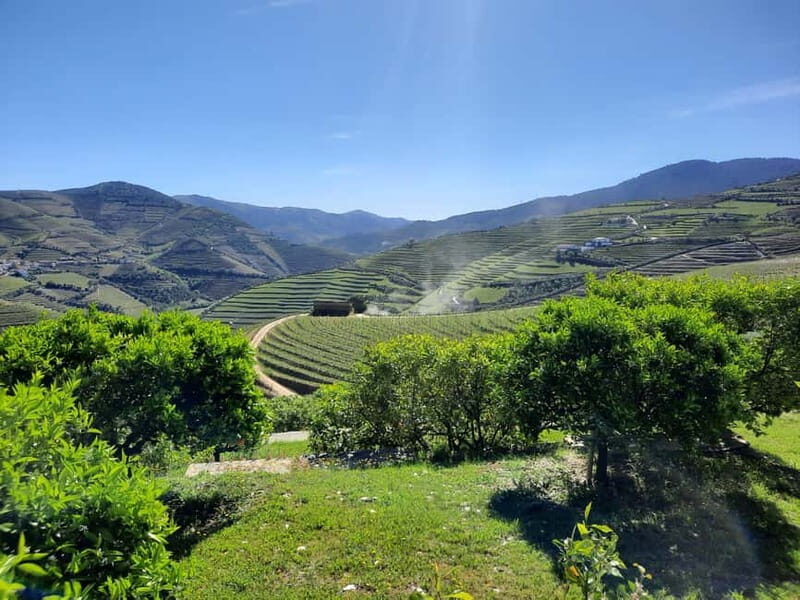 From Porto: small-group guided tour of the Douro Valley and Gerês - Transportation, Group Size, and Value