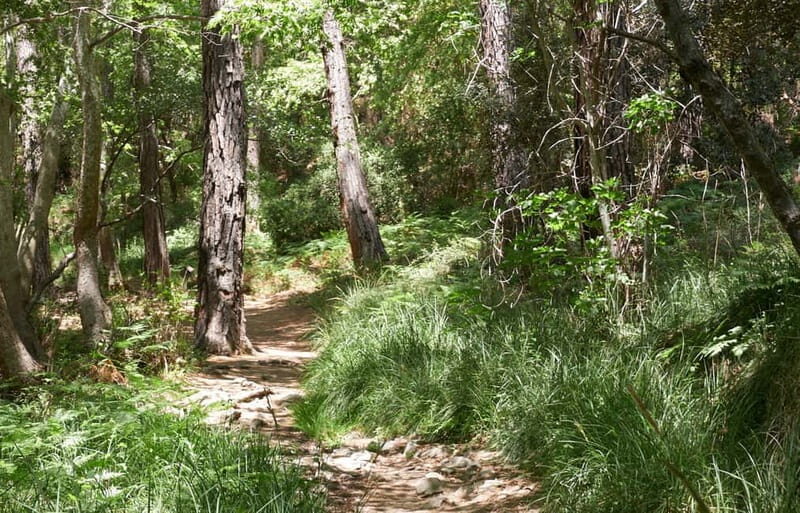 From Protaras: Full-Day Grand tour Jeep Safari with Lunch - What the Reviews Say