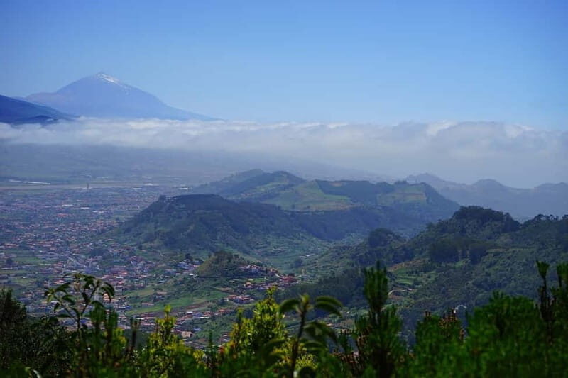 From Puerto de La Cruz: VIP Tour Around Anaga and La Laguna - The Value of This Tour