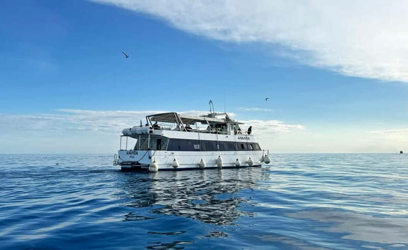 From Pula: Half-day NP Brijuni cruise with Lunch & Swimming - A Closer Look at the Itinerary