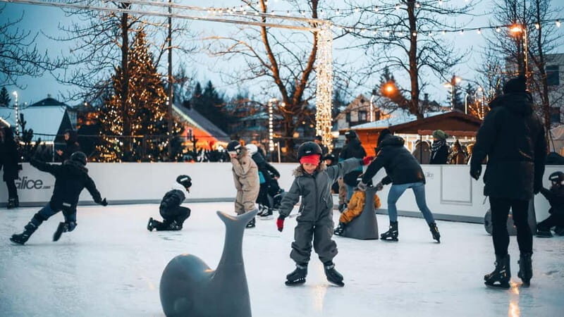 From Reykjavík: Christmas Market and Yule Lads Driving Tour - Transportation, Group Size, and Overall Value