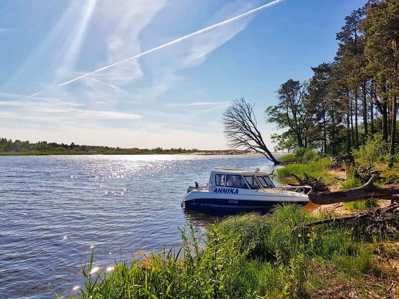 From Riga: Four Natural Ecosystems In One Hike - What Makes This Tour Special?