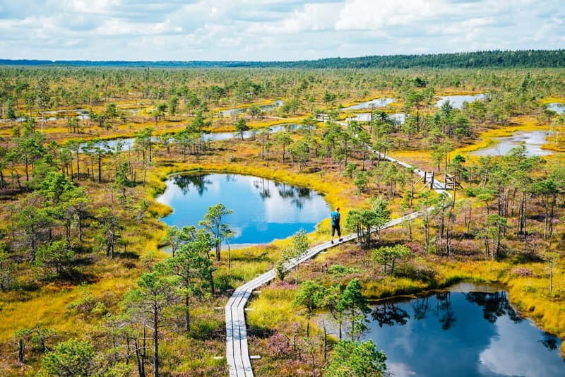 From Riga: Jurmala and Great Kemeri Private Full-Day Trip - What You Can Expect from This Tour