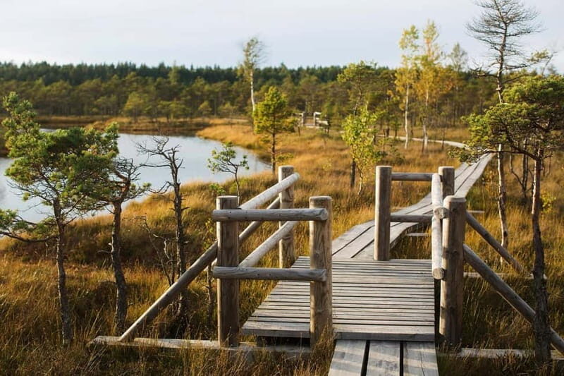 From Riga: Kemeri National Park and Kuldiga Tour - Who Will Love This Tour?