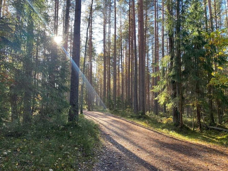 From Riga: Trip to Kemeri National Park & Jurmala - How the Tour Balances Nature and Culture
