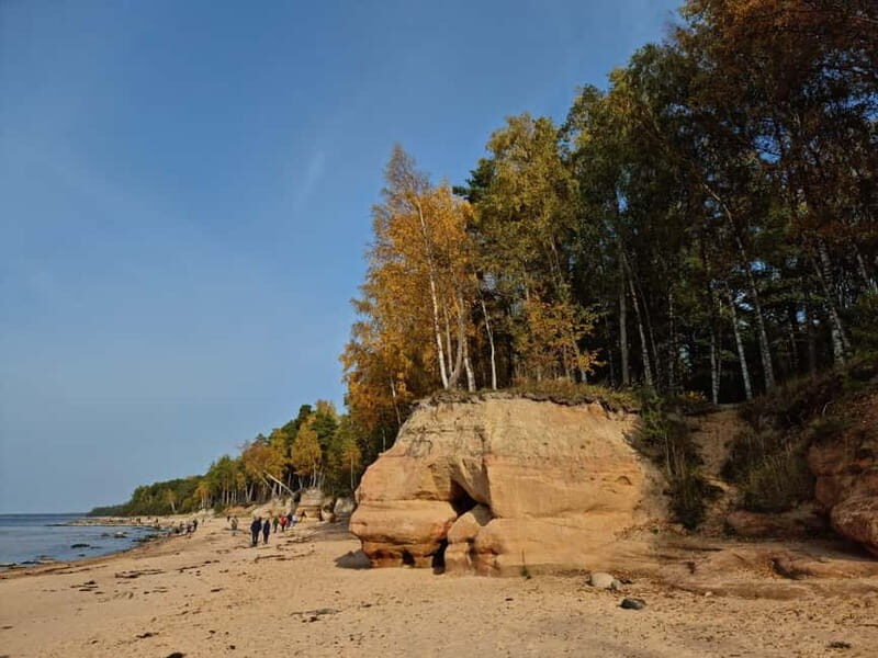 From Riga: Vidzeme Coast Half-Day Trip with Lunch - Practical Considerations and Tips