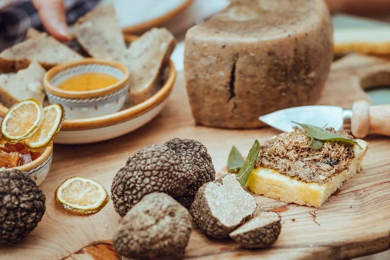From Rome: Truffle Hunt and Wine Tasting in Umbria - Practical Details and What You Need to Know