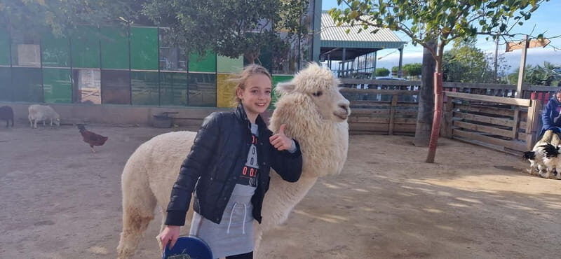 From Salou: animal farm park with hotel pickup - The Experience: From Pickup to Park