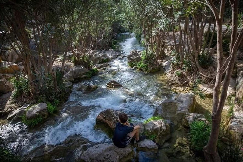 From Santa Pola and Elche: Algar Waterfalls with Transfer - Who Will Benefit Most from This Tour?