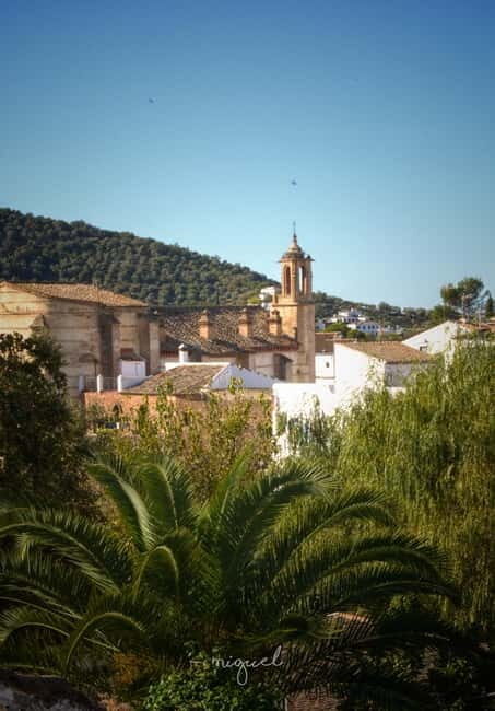 From Seville: Cerro del Hierro Private Hike with Picnic - Who Will Love This Tour?