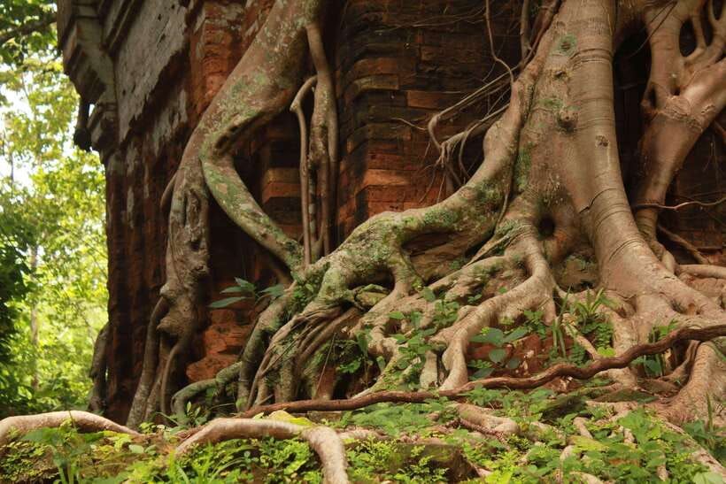 From Siem Reap: Beng Mealea and Koh Ker Temple Day Trip - The Journey Begins: From Siem Reap to Beng Mealea