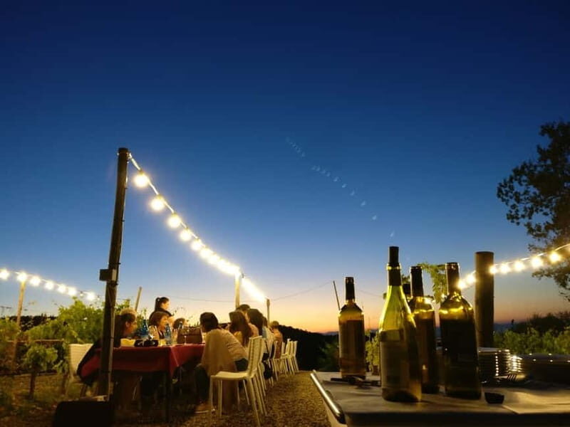 From Siena/Chianti: Dinner & Drinks in the Chianti Vineyards - Practical Details and Value