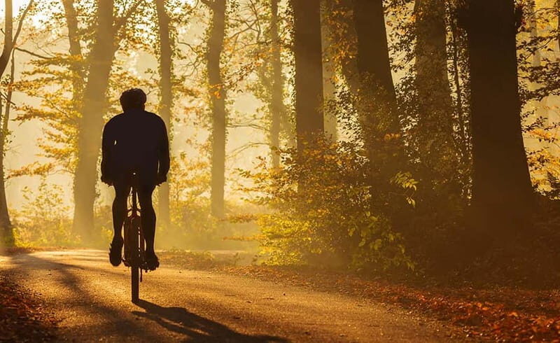 From Siena: Chianti Electric Bike Tour - Bikes, Comfort, and Practicalities