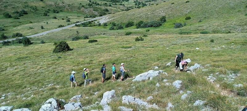 From Skopje: Ohrid and Magaro Peak Hike on Galicica Mountain - Exploring Galicica Mountain and Ohrid: A Perfect Day Out