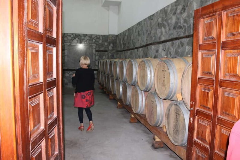 From Skopje: Private Full-Day Tour to Popova Kula Winery - Final Thoughts
