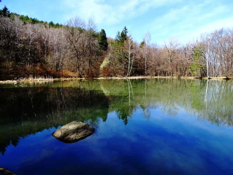 From Sofia: One-Day Tour of Vitosha Mountain - The Highlights: Why This Tour Works