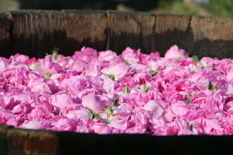 From Sofia: Rose Valley Tour & UNESCO Site Kazanlak - Exploring the Scenic and Historic Highlights