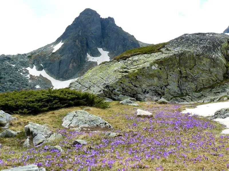 From Sofia: The Seven Rila Lakes Full-Day Self-Guided Tour - What to Expect on the Hike