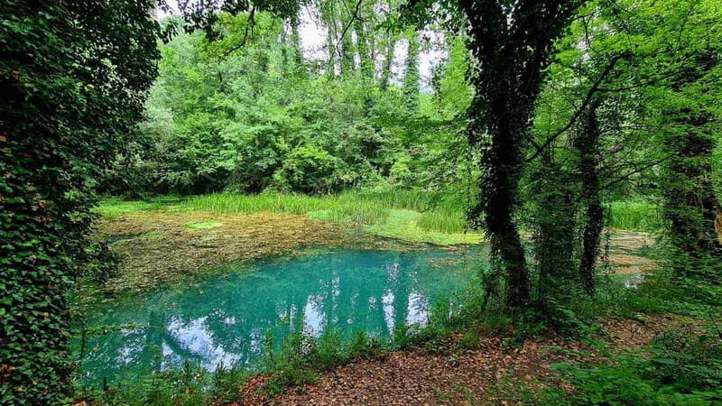 From Sofia: Zlatna Panega River Hike with Springs Visit - A Deep Dive into the Experience