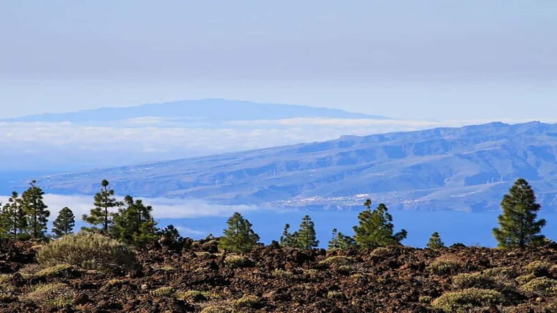 From South Tenerife: Half-Day Tour to Mount Teide - The Details That Matter